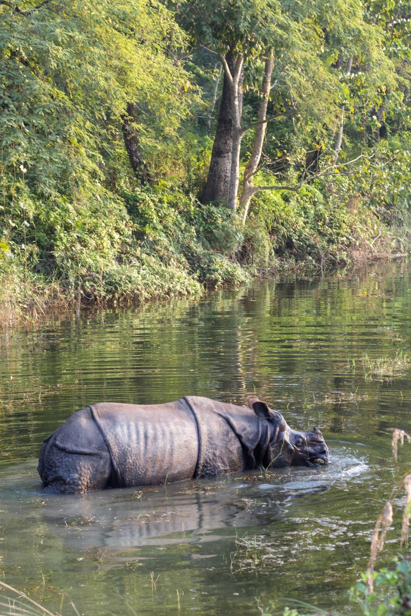 Sanctuary Chitwan National Park Exterior foto