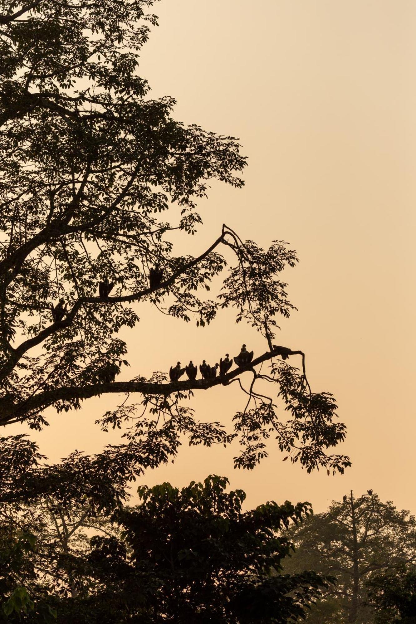 Sanctuary Chitwan National Park Exterior foto